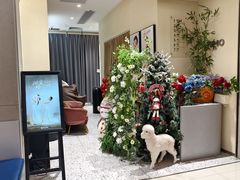 -海马体照相馆(佛山岭南站店)