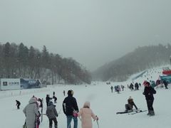 -亚布力新体委滑雪场