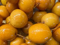 -老炳·七丛松甘草水果