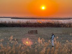 -敕勒川草原文化旅游区
