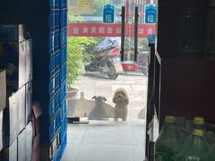 -壶园美食·淮扬菜(东圈门店)