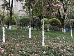 -龙头寺公园