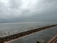-深圳湾公园(南山区)