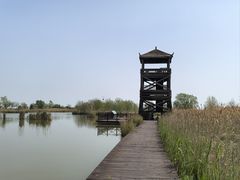 -盐城丹顶鹤湿地生态旅游区