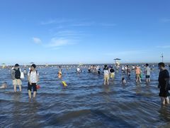 -碧海金沙
