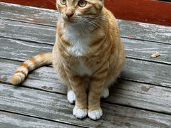 -百味馆·海鲜·湛江菜(后海花园店)