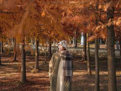 -上海海湾国家森林公园