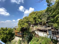 -南山植物园