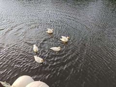 -沂蒙云瀑洞天景区