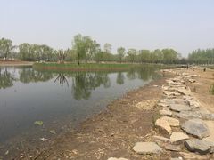 -大兴滨河森林公园