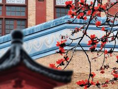 -广州中山纪念堂
