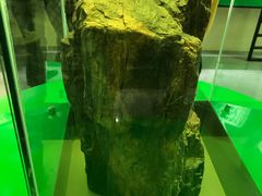 -嘉荫恐龙国家地质公园