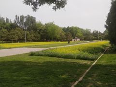 -北坞公园