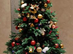 -万豪酒店·咏豪中餐厅