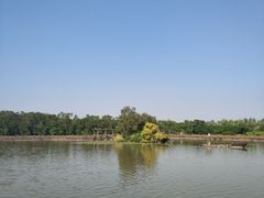 -大湾区中央湿地公园