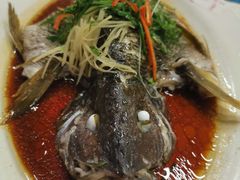 -渔人码头(洛溪店)