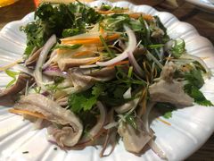 -东鸽皇(奥园·中环广场店)