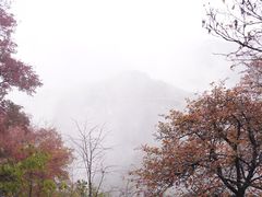 -少华山国家森林公园