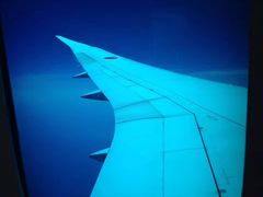 -全日本空输株式会社(上海办事处)