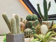 大堂-大树餐厅(红旗街万达店)