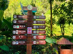 -西双版纳原始森林公园