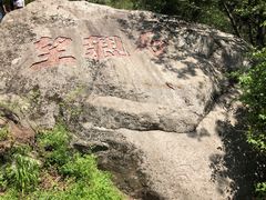-王顺山国家森林公园