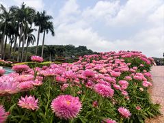 -点都德(广州白云山景区南门店)