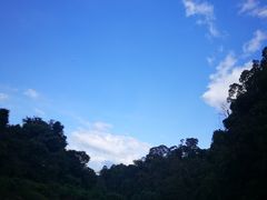 -乌鲁淡布隆国家公园
