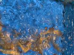 -“香”全日餐厅·株洲大汉希尔顿酒店