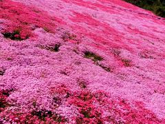 -昆嵛山石门里景区