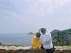 -枸杞岛
