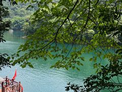 -鼎湖山风景区