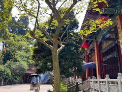 -都江堰普照寺