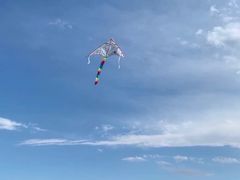 -天津武清北运河郊野公园房车露营地