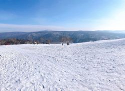 -大秃顶子山