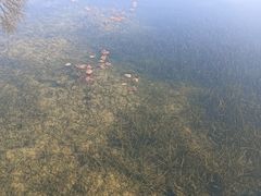 -洋湖国家湿地公园