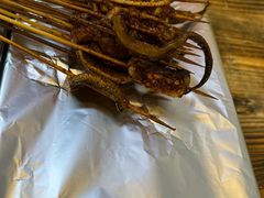 鳝鱼-晓靖轩烧烤(沙河风情店)