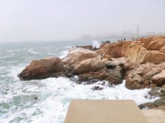 -小麦岛公园