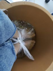 点击看大图 -派恩宜灰指甲鸡眼嵌甲手足癣