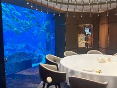 -亚特兰蒂斯•OSSIANO奥西亚诺海底餐厅