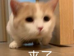 -玖·炭火烤肉
