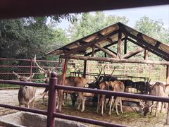 -青藏高原野生动物园