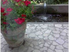 落地大窗外-老洋房花园饭店(绍兴路店)