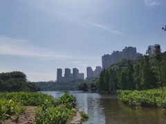 -重庆彩云湖湿地公园