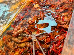 -黑金·寻焰自助百汇·烤肉·火锅(中街店)