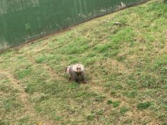 -合肥野生动物园