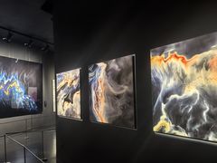 -罗红摄影艺术馆