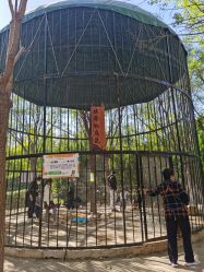 点击看大图 -优沃得自然教育农场·冰雪乐园·生日会·研学