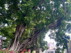 -凌记(泮塘路店)