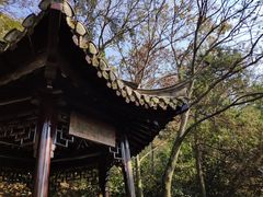 -豫园